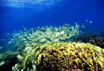 背上行囊，讓心去旅行：全球最吸引人的20個(gè)旅游目的地